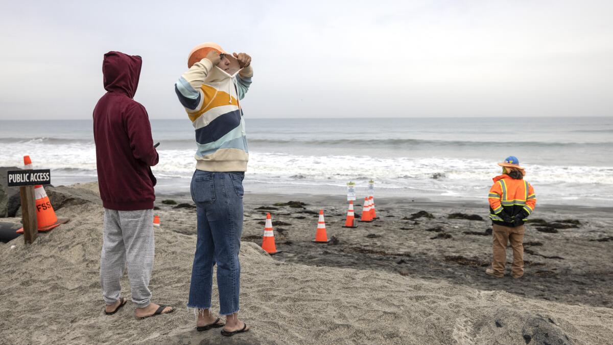 East County residents share their holiday mishaps and memories