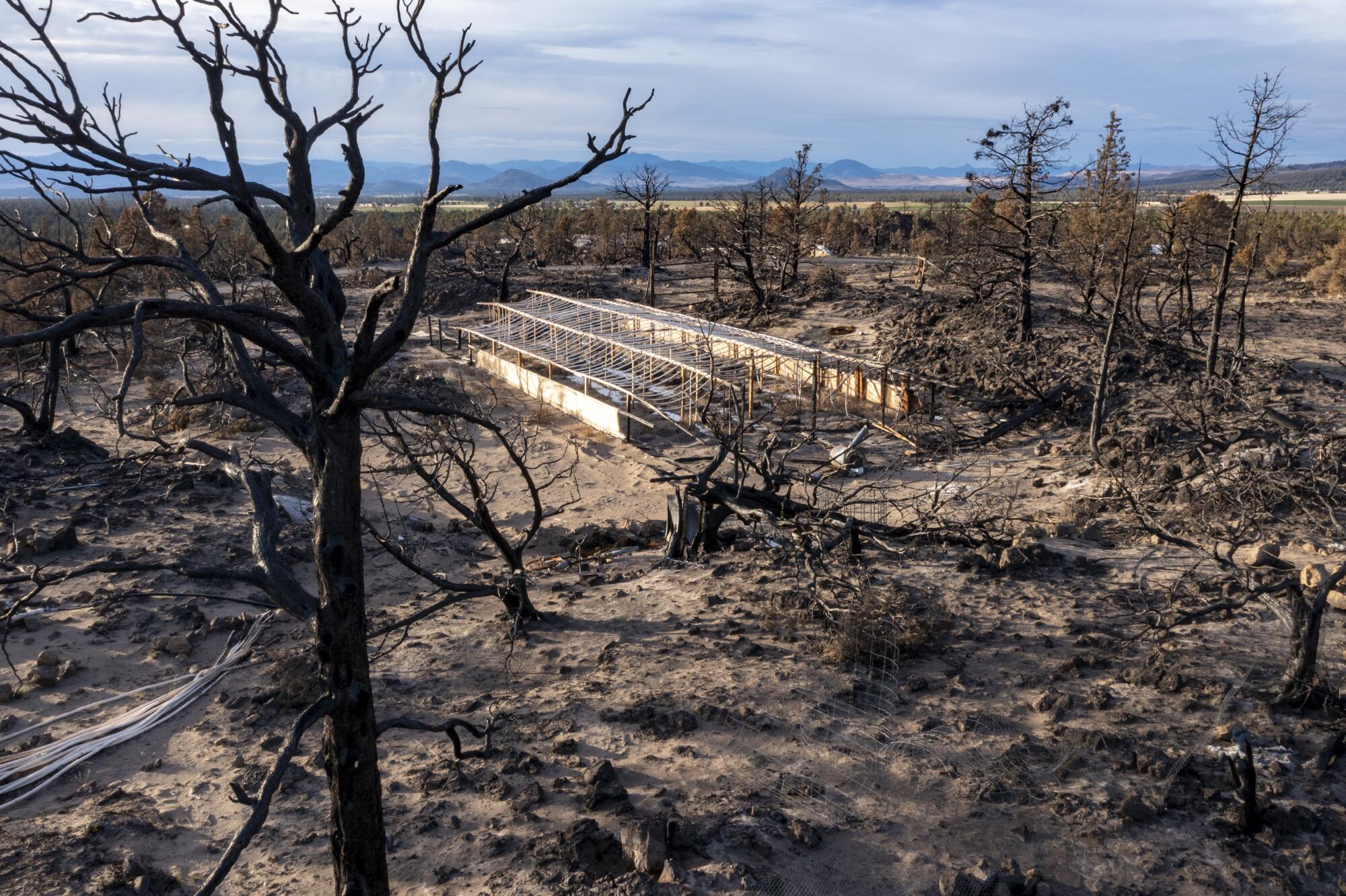 A greenhouse has melted into the charred landscape after the Lava fire burned in the Mt. Shasta Vista subdivision