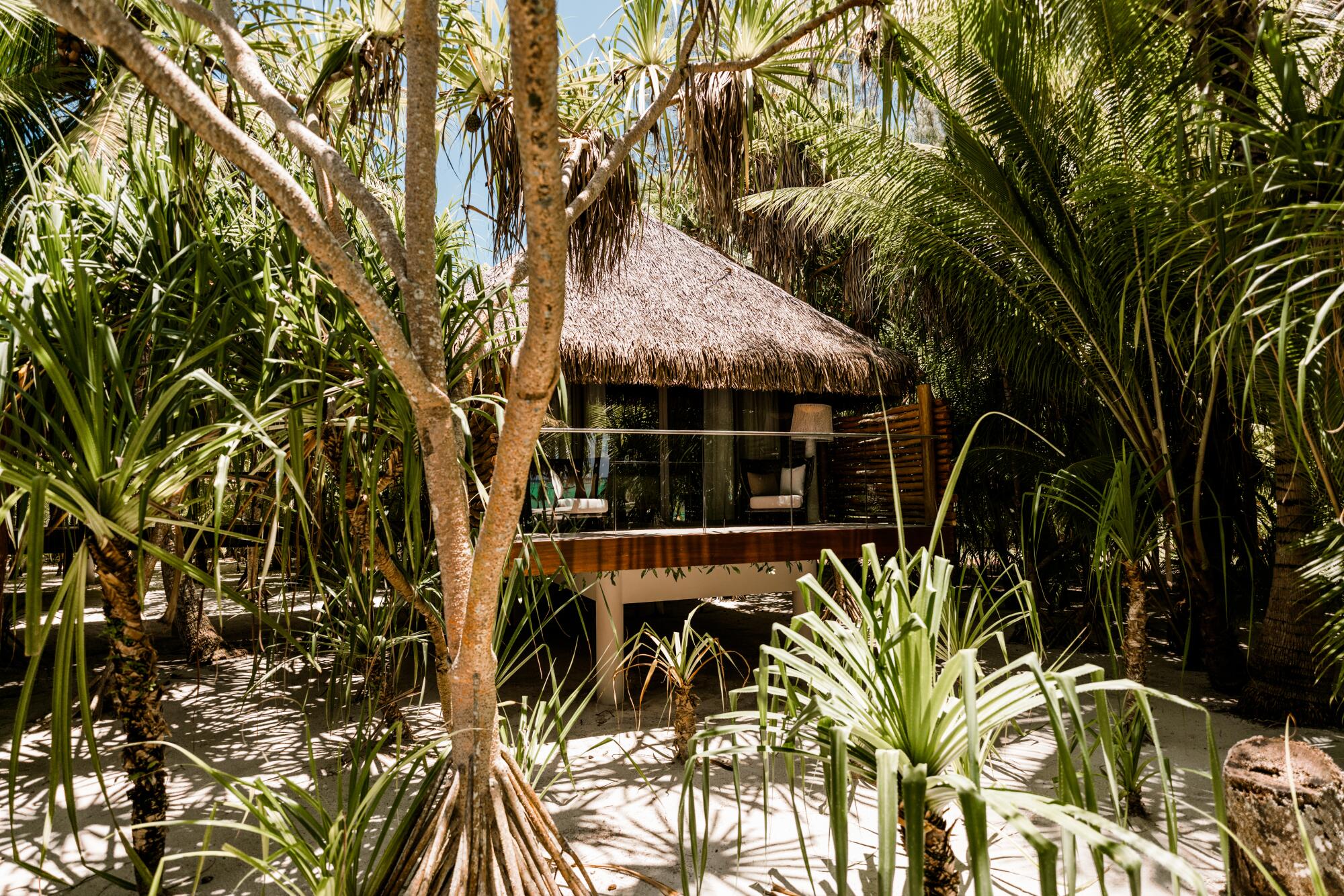 A villa with a thatched roof stands raised above the sand among palms and other trees.