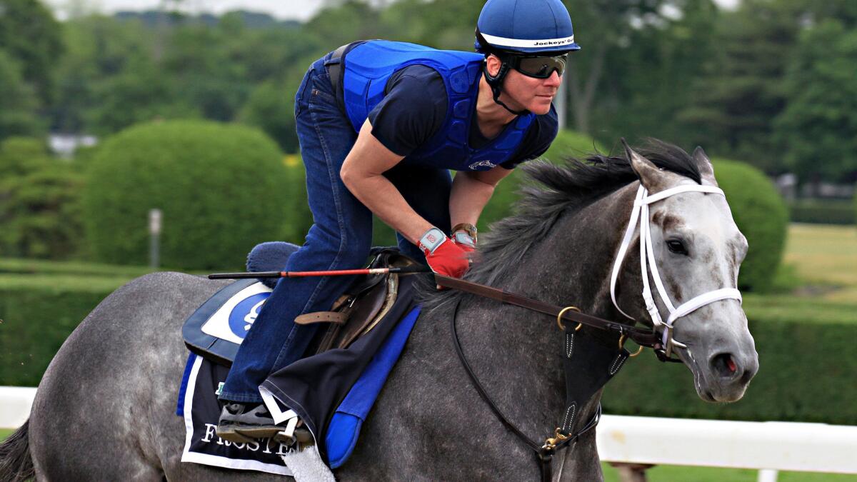 Frosted is worked out by exercise rider Lorenzo Moralez on Thursday at Belmont Park.