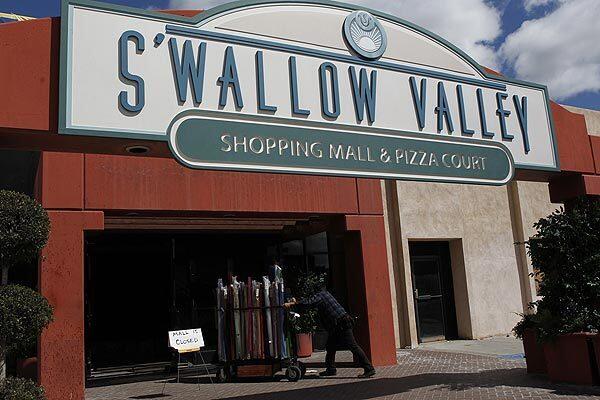 The vacant Desert Fashion Plaza in Palm Springs plays the S'Wallow Valley mall in the film.