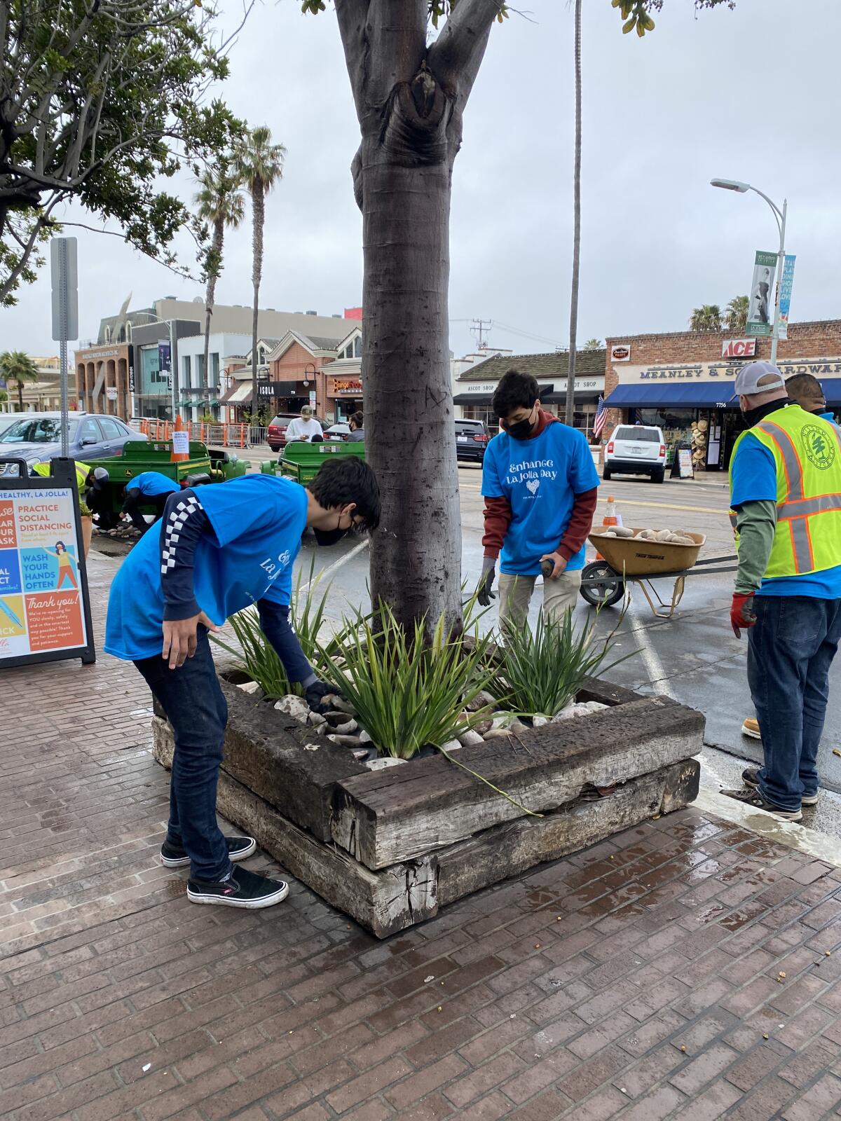 Volunteers place rocks and new plants in a tree well in The Village during Enhance La Jolla Day on March 20. 