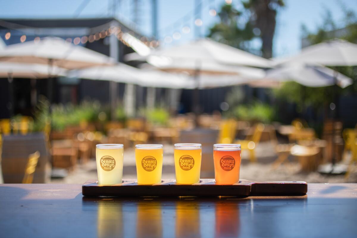 A tasting flight of four ciders on an outdoor table, with umbrella-shaded tables in the background