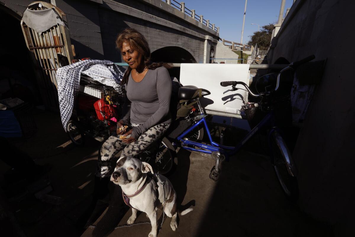Rebecca Dannenbaum, 48, and her dog Pop-Tart live in a pedestrian tunnel.
