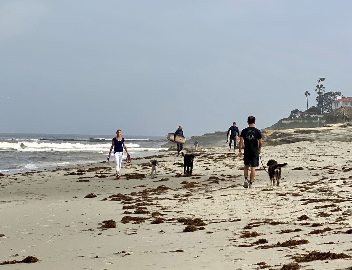People stroll along Windansea beach in La Jolla the morning of April 27 after the beach was reopened for swimming, surfing, walking, jogging, and single-person paddleboarding and kayaking.