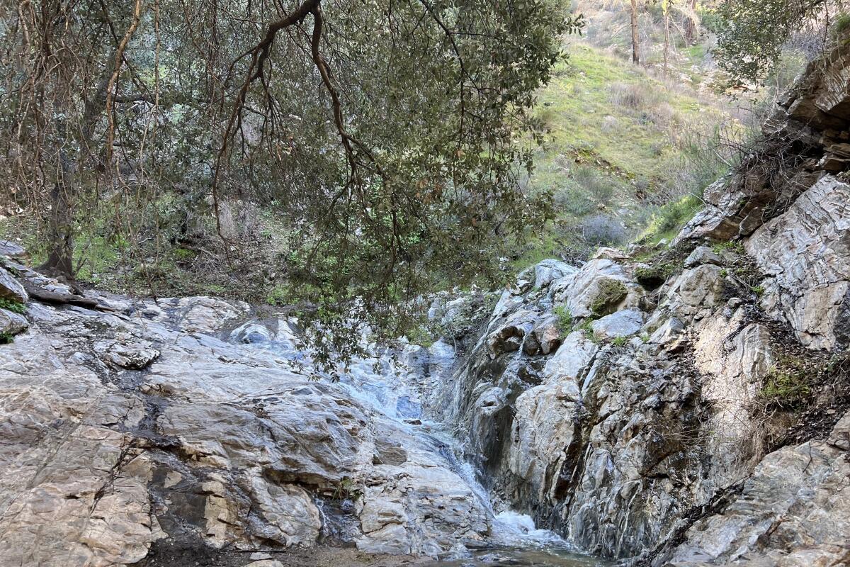 Waterfall at Placerita Canyon 