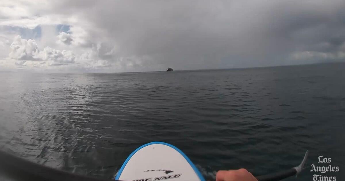 Aliens? Submarines? Gassy whales? Bubbles off California coast spark intrigue Aliens? Submarines? Gassy whales? Bubbles off California coast spark intrigue