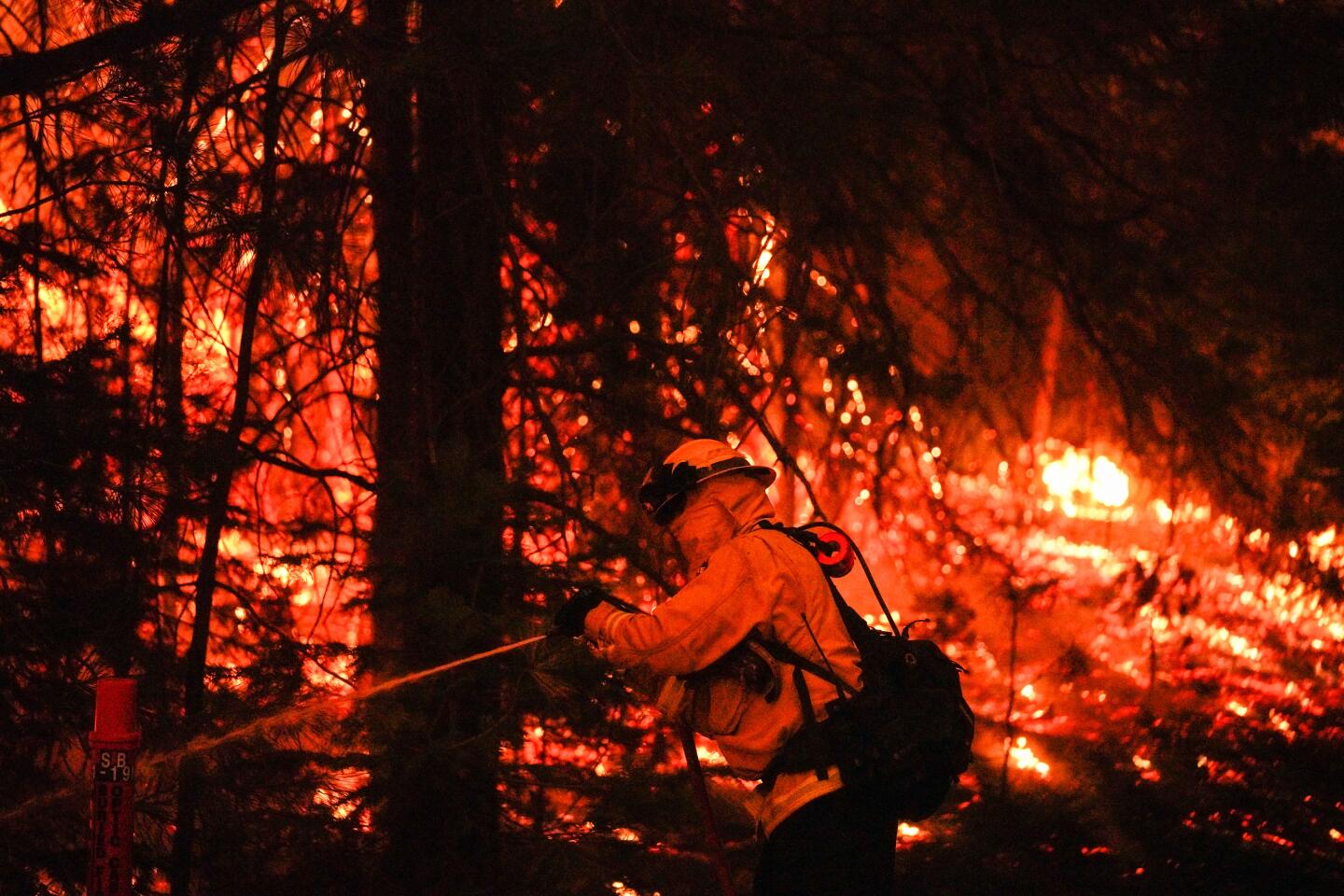 A firefighter sets a back burn.