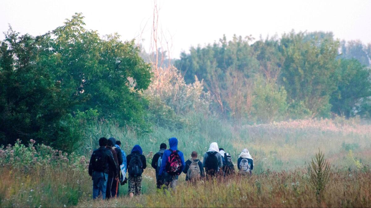 Migrants walk on the road of Asotthalom village, near the Hungarian-Serbian border, in June 2015 after illegally crossing the border.