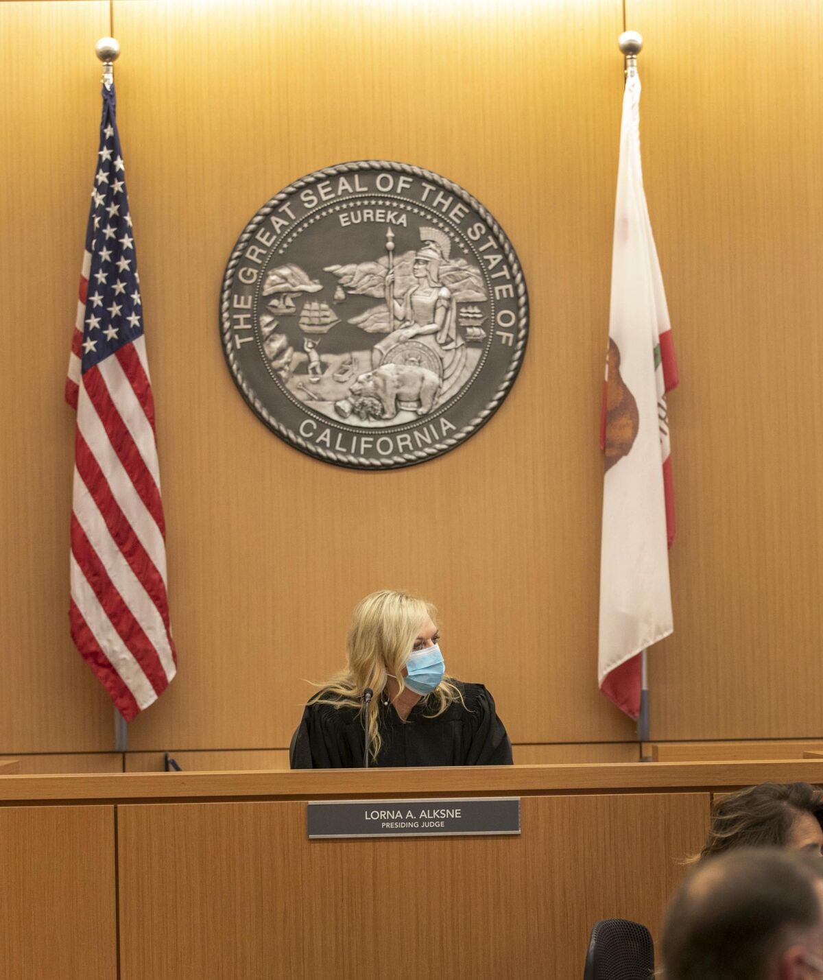 Presiding judge Lorna Alskne held the first video court case in San Diego under the new COVID-19 pandemic.
