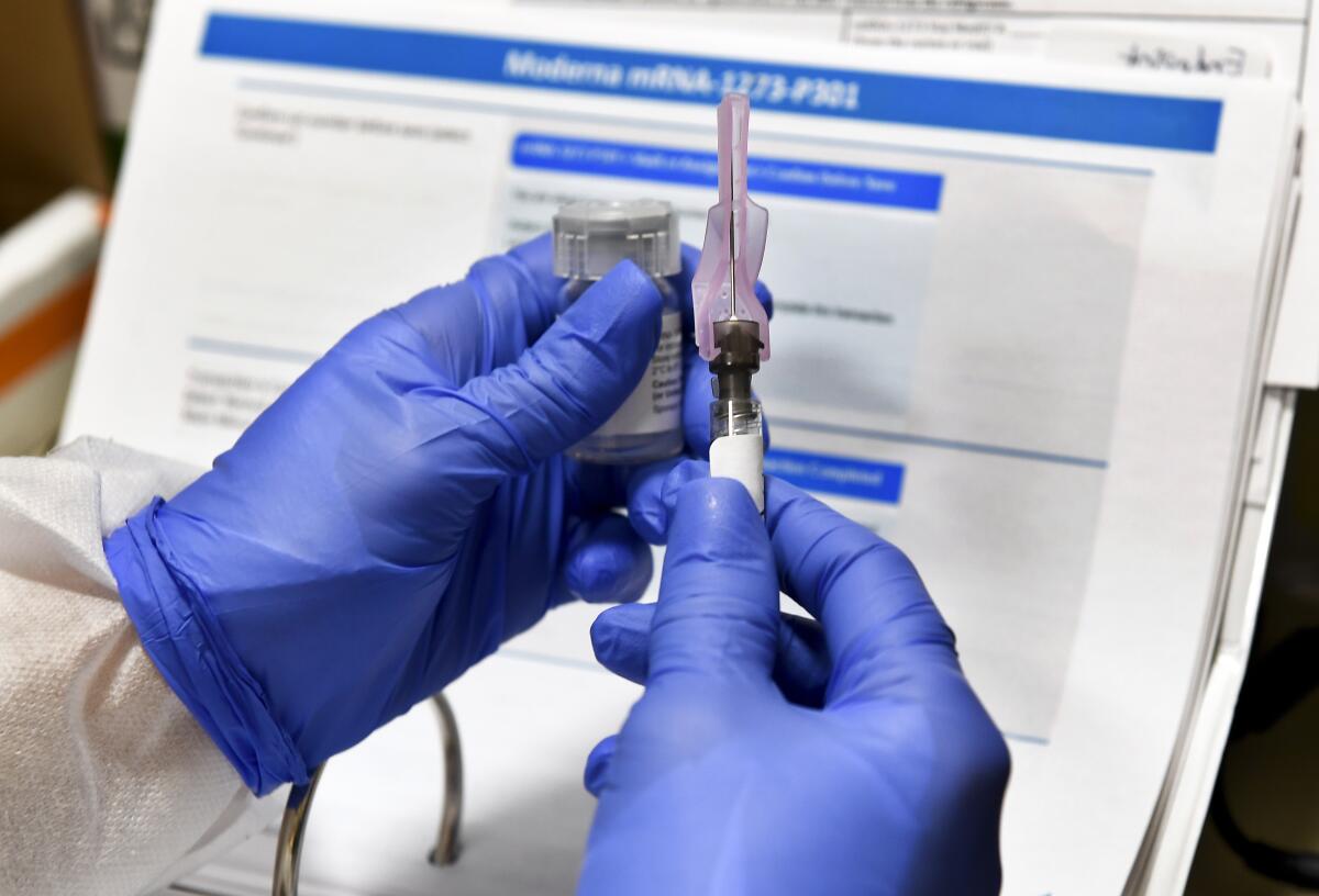 A nurse prepares a shot of Moderna's experimental COVID-19 vaccine.