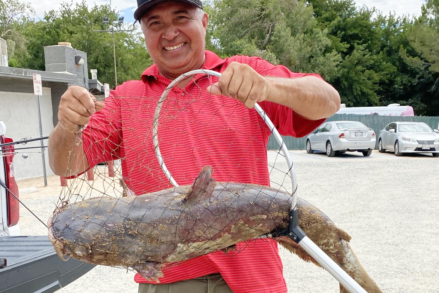 Javier Fuentes caught a massive 30-pound catfish on July 26th right here at Hesperia Lake Park and yes, it literally broke the scale! Huge congratulations to the angler who brought this legend to the shoreline.