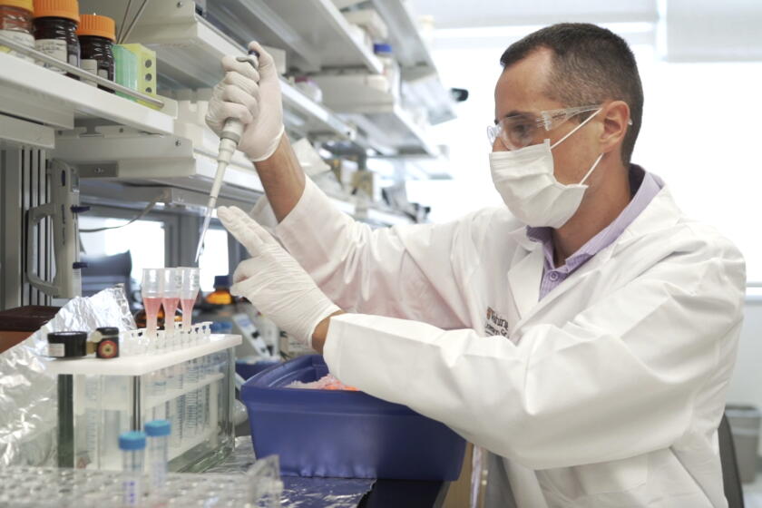 Altering Memory Could memory manipulation one day help treat PTSD, depression, dementia ...