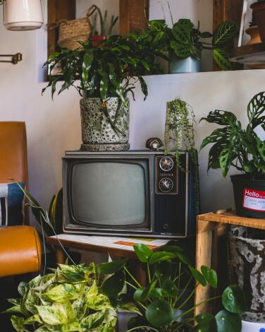 An eclectic mix of retro decor is featured at Prop House Plants shop
