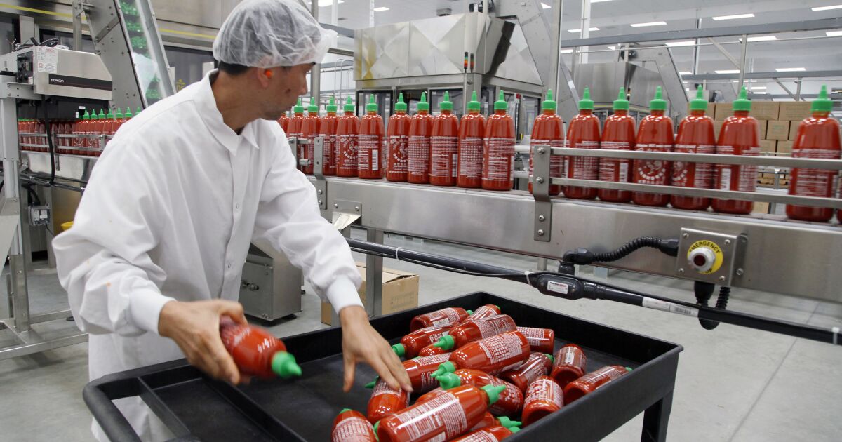 ¿Otro inconveniente de Sriracha?  Productores de California culpan a la oferta de chiles