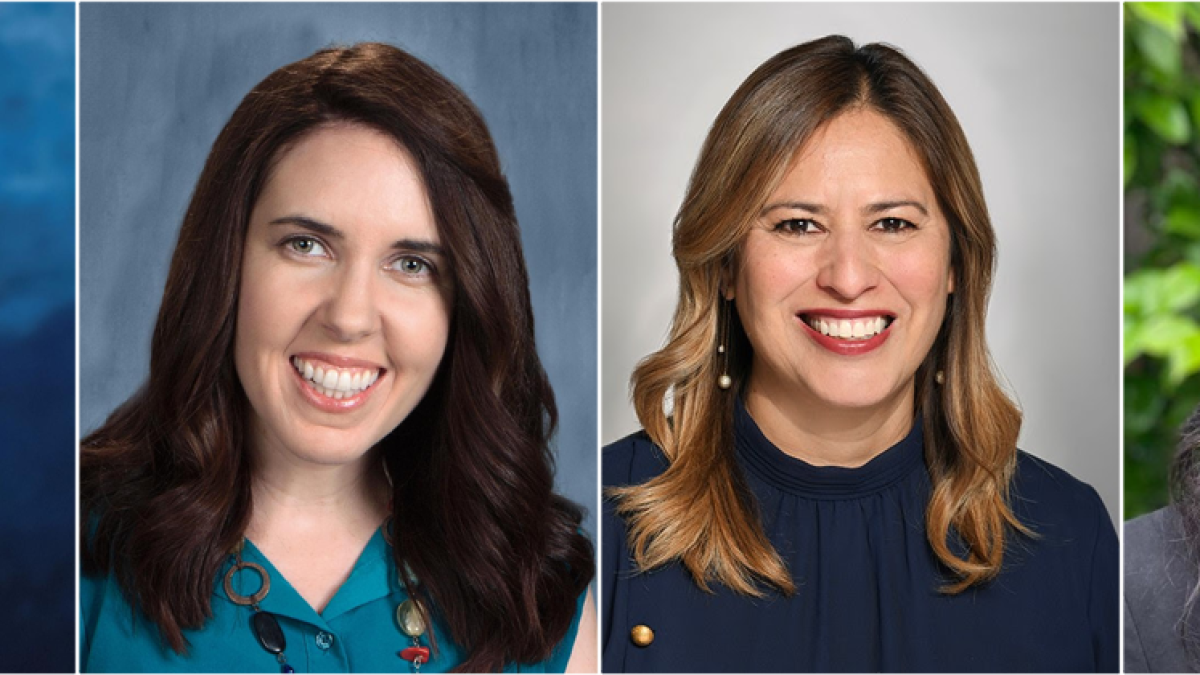 New faculty, principals - Los Angeles Times - Vimarsana News
