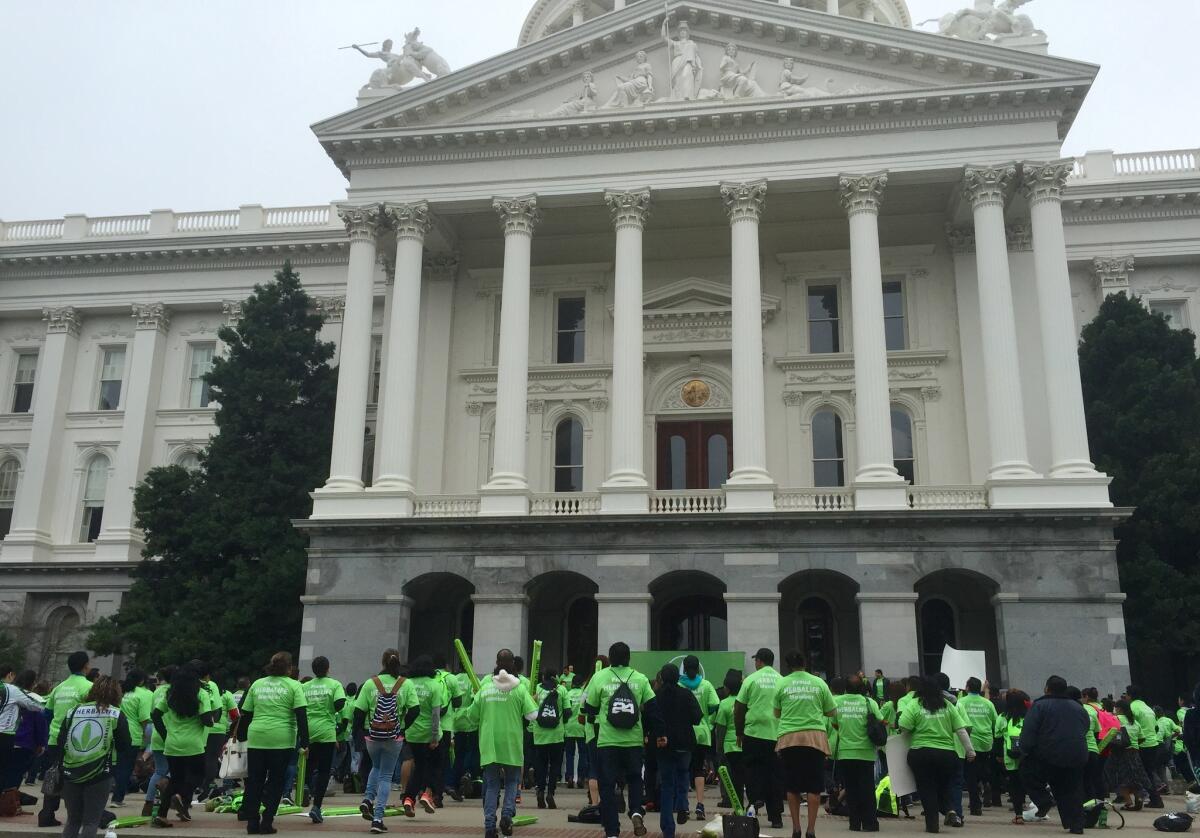 Supporters of the nutritional products company Herbalife swarmed the state Capitol on Wednesday, wearing distinctive bright green shirts.