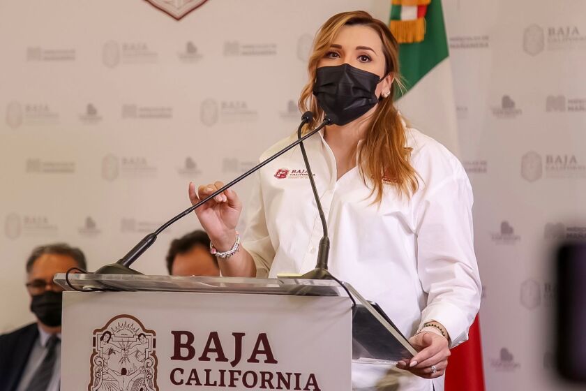 Gobernadora de Baja California, Marina del Pilar Ávila, durante conferencia de prensa el pasado 12 de enero de 2021