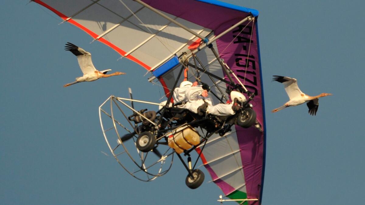 Russian President Vladimir Putin flies in a motorized hang glider alongside two Siberian white cranes on the Yamal Peninsula in 2012.