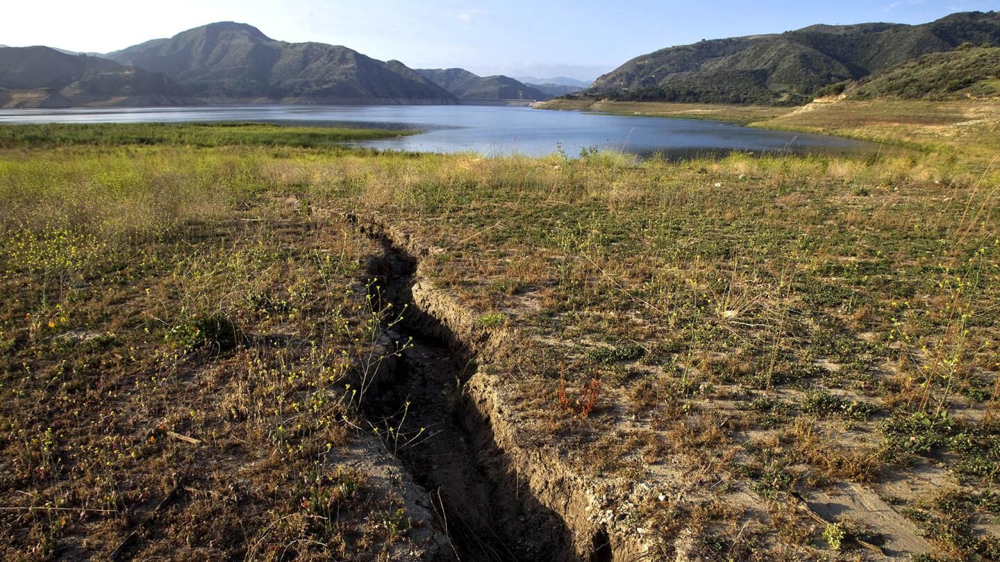 On Assignment: Focusing on the effects of California's persistent drought