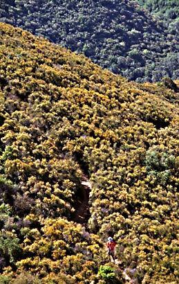 Berryessa-Snow Mountain, Calif.