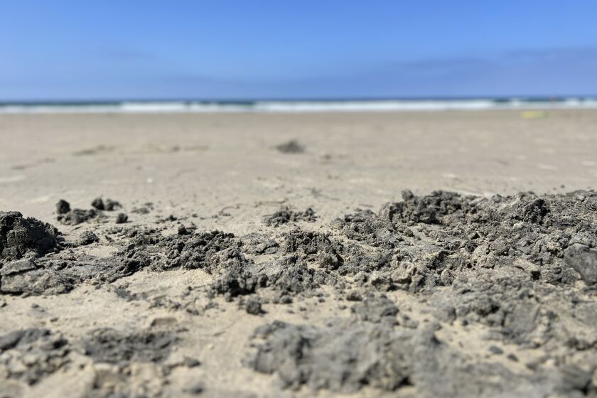 January's storms led to "big-league" erosion at La Jolla's beaches, Scripps oceanographer Bob Guza says.