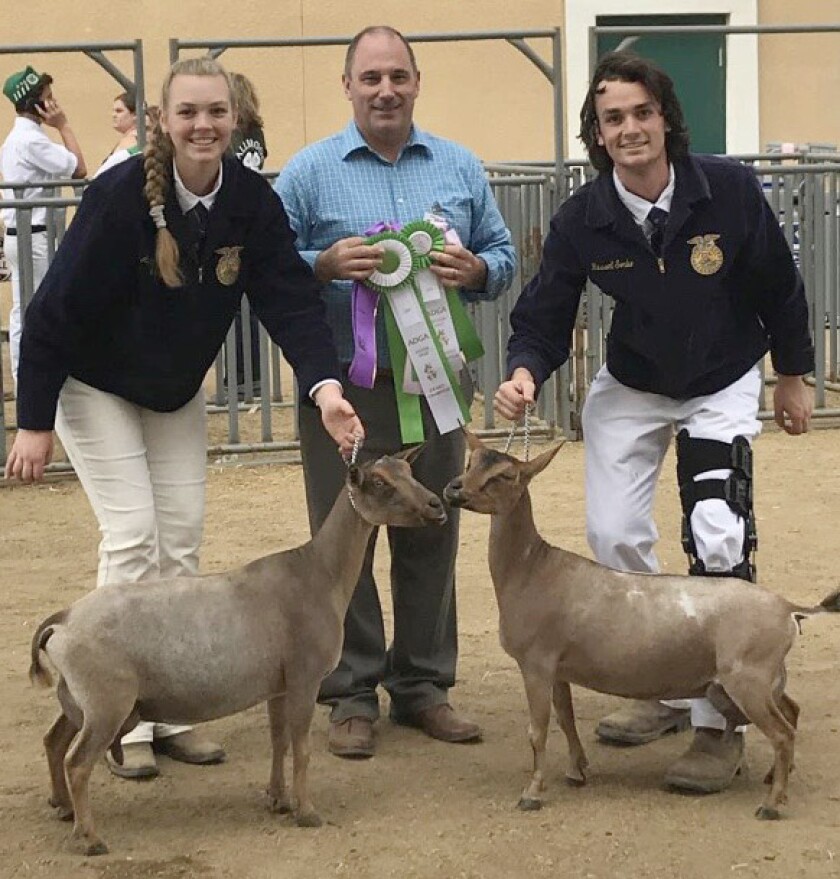 Adelaide Sorbo and her brother Russell Sorbo show off their goats at the San Diego County Fair with judge Joseph Pilots.