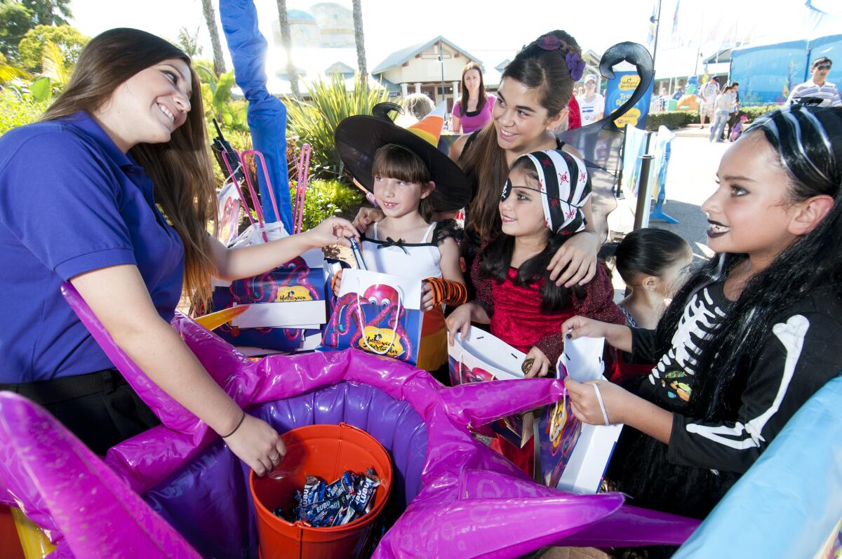 Actividades gratuitas para niños durante el mes de octubre. Aquí una imagen de SeaWorld Spooktacular Trick or Treat.