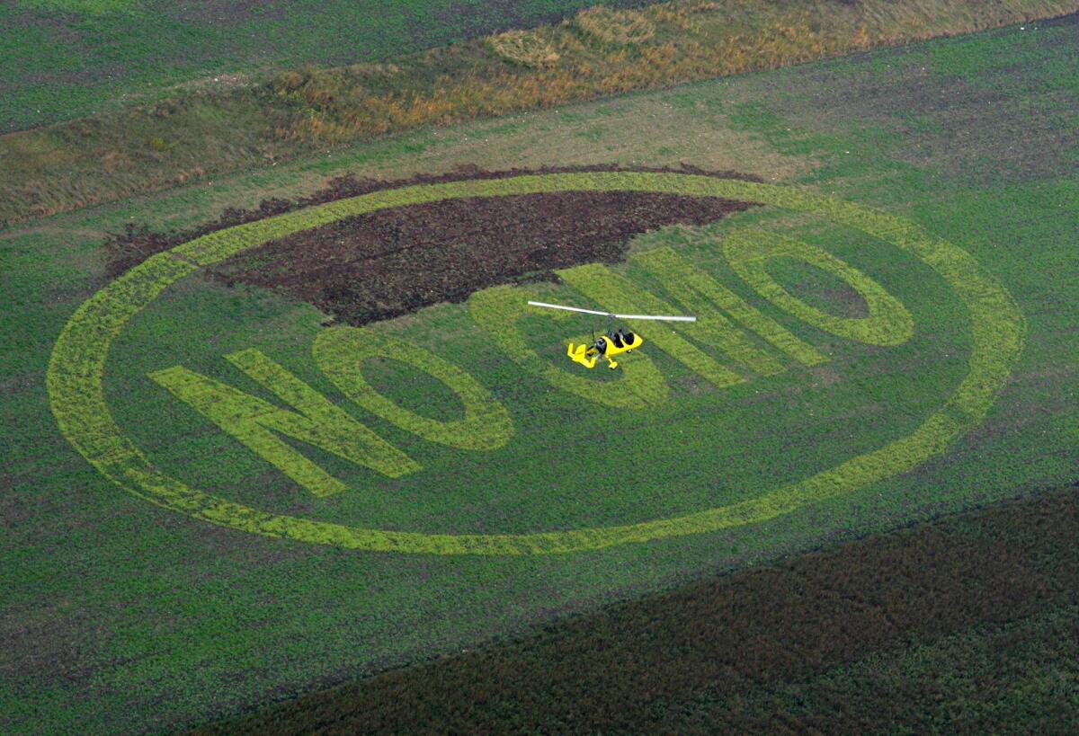 Activists from Greenpeace and Austrian organic farming association BIO AUSTRIA wrote the message "NO GMO" (Genetically Modified Organism) by planting light green colored organic buckwheat in a field of organic peas in Breitenfurt, near Vienna.