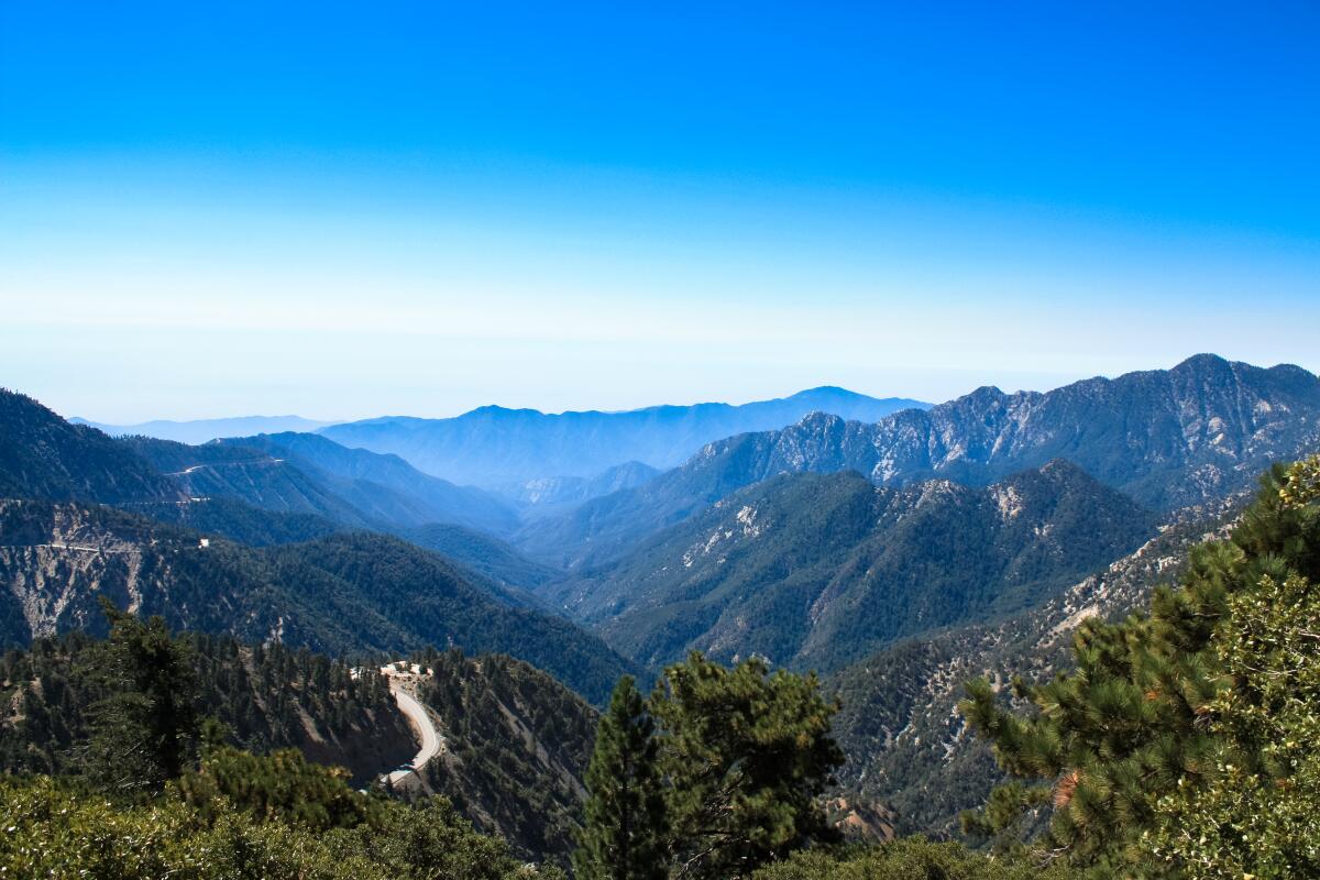 A view from high up of wooded mountainsides and San Gabriel Canyon as seen from from Mt. Williamson.