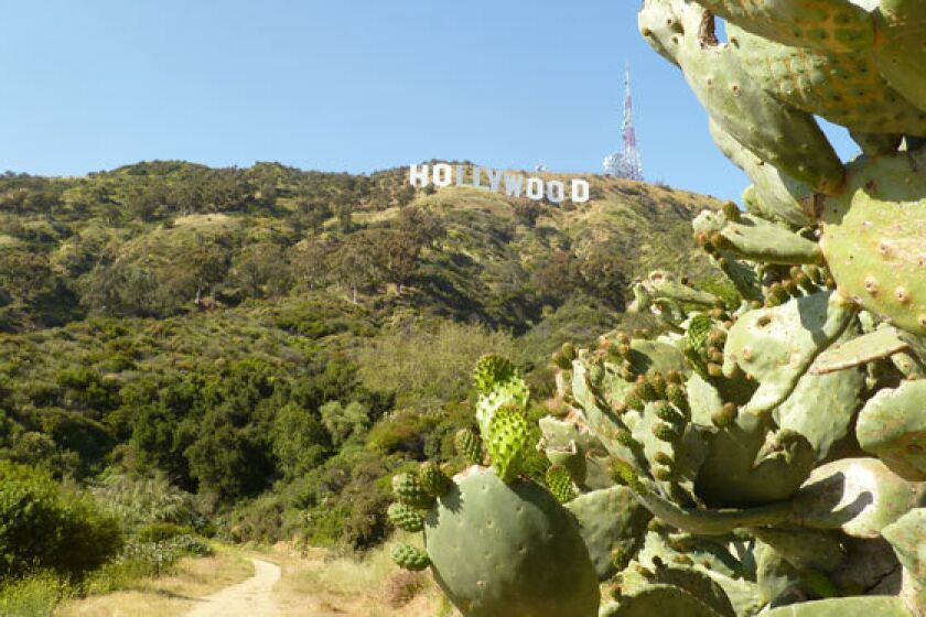 Famous Hollywood sign atop Mt. Lee.