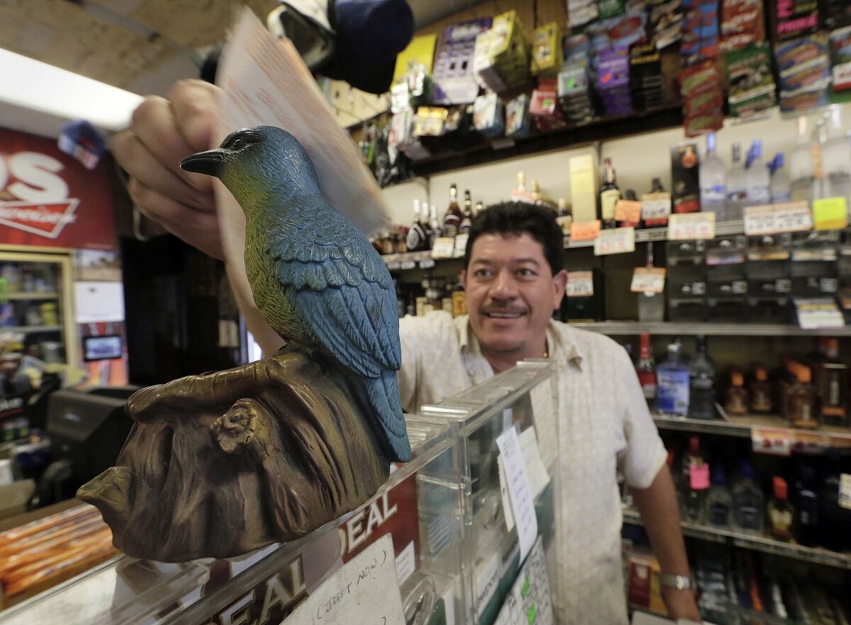 Ronald Marin rubs his lottery tickets on the wings of a bluebird statue for good luck at Bluebird Liquor in Hawthorne on Thursday. The jackpot for the multstate game has soared to $550 million.