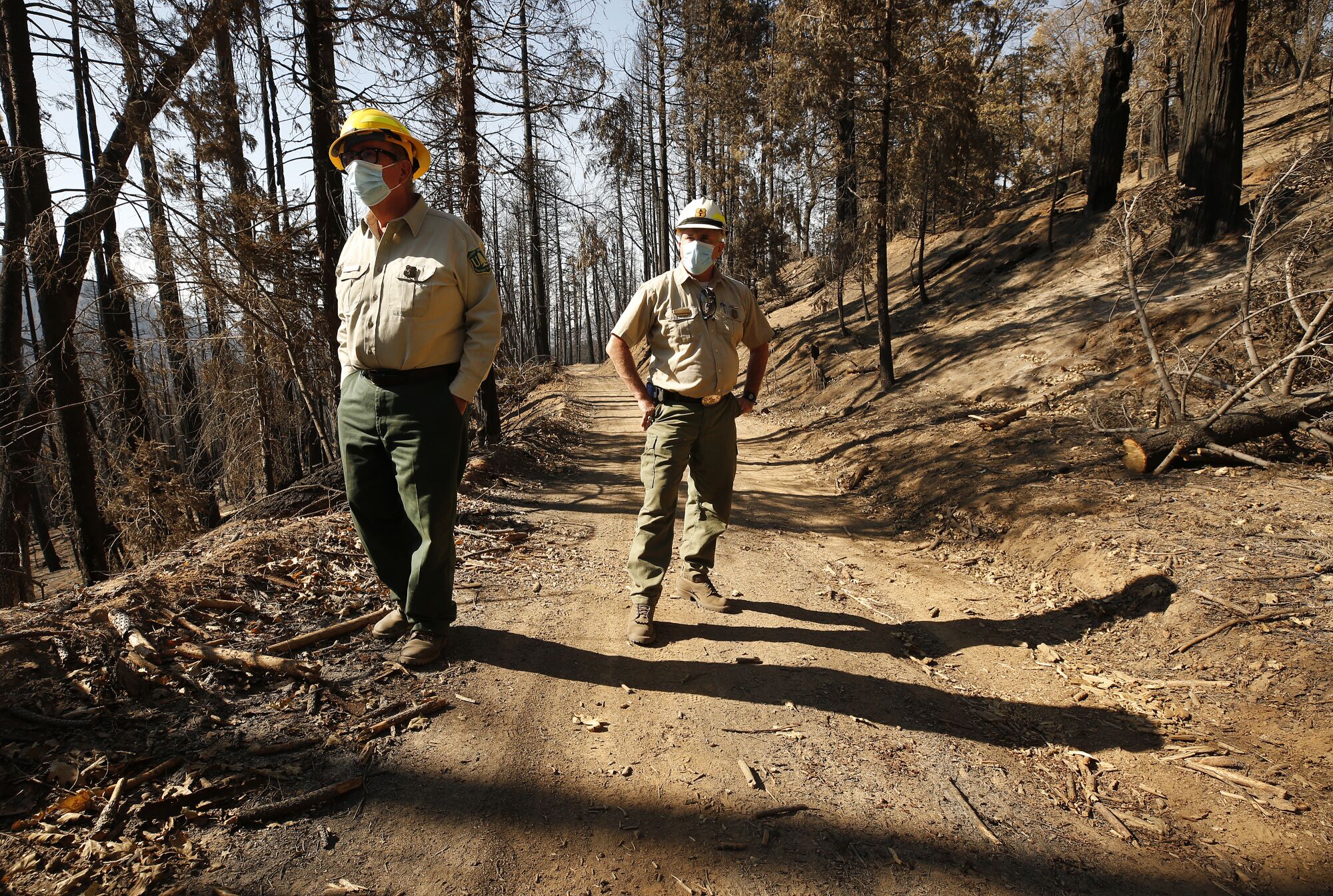 Two park rangers walk on a trail through charred trees