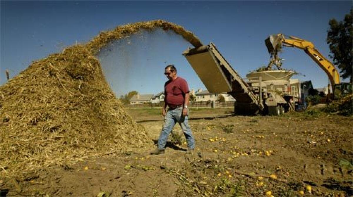 CHIPPER: Thirty-one people were killed in wood chipper accidents between 1992 and 2002, according to a 2005 Journal of the American Medical Assn. report.