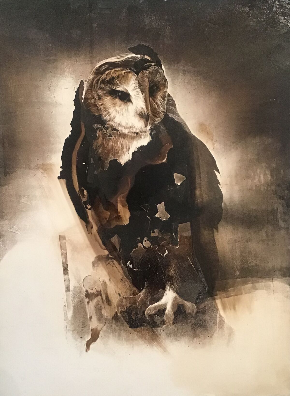 "Owl 2" by James Griffith, 2019. Tar on panel, 24 inches by 18