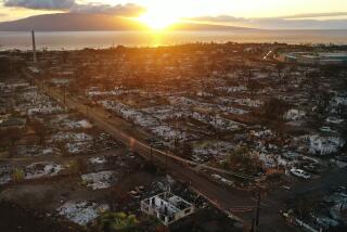 LAHAINA, HAWAII - OCTOBER 09: In an aerial view, burned structures and cars are seen two months after a devastating wildfire on October 09, 2023 in Lahaina, Hawaii. The wind-whipped wildfire on August 8th killed at least 98 people while displacing thousands more and destroying over 2,000 buildings in the historic town, most of which were homes. A phased reopening of tourist resort areas in west Maui began October 8th on the two-month anniversary of the deadliest wildfire in modern U.S. history. (Photo by Mario Tama/Getty Images)