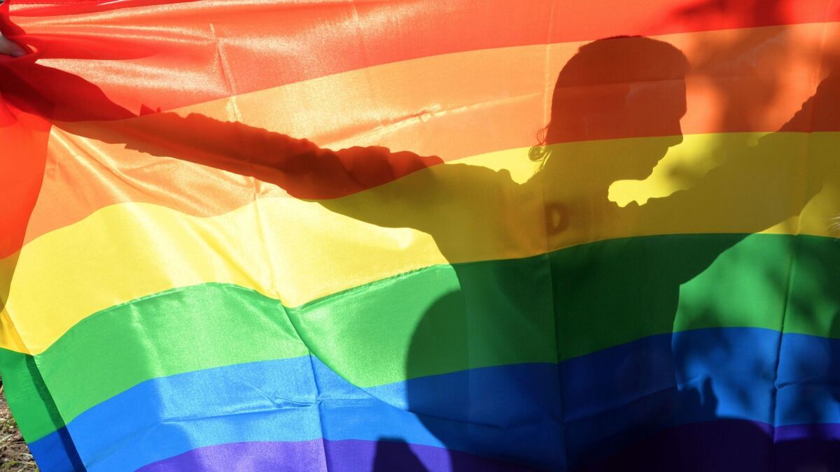 An activist's silhouette is seen through a rainbow flag during a gay pride parade in Kiev, Ukraine, in 2013.