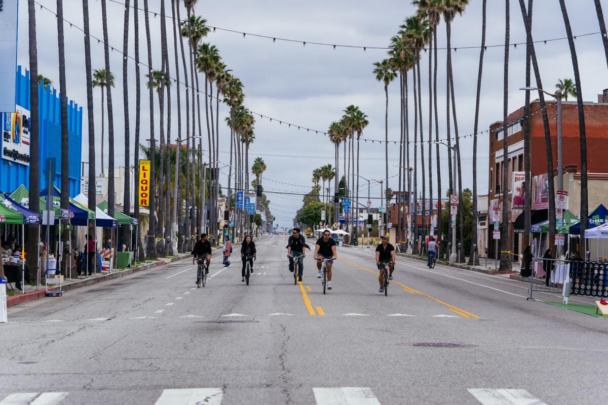 La ruta Cyclamini-Wilmptan, ubicada en 2024.