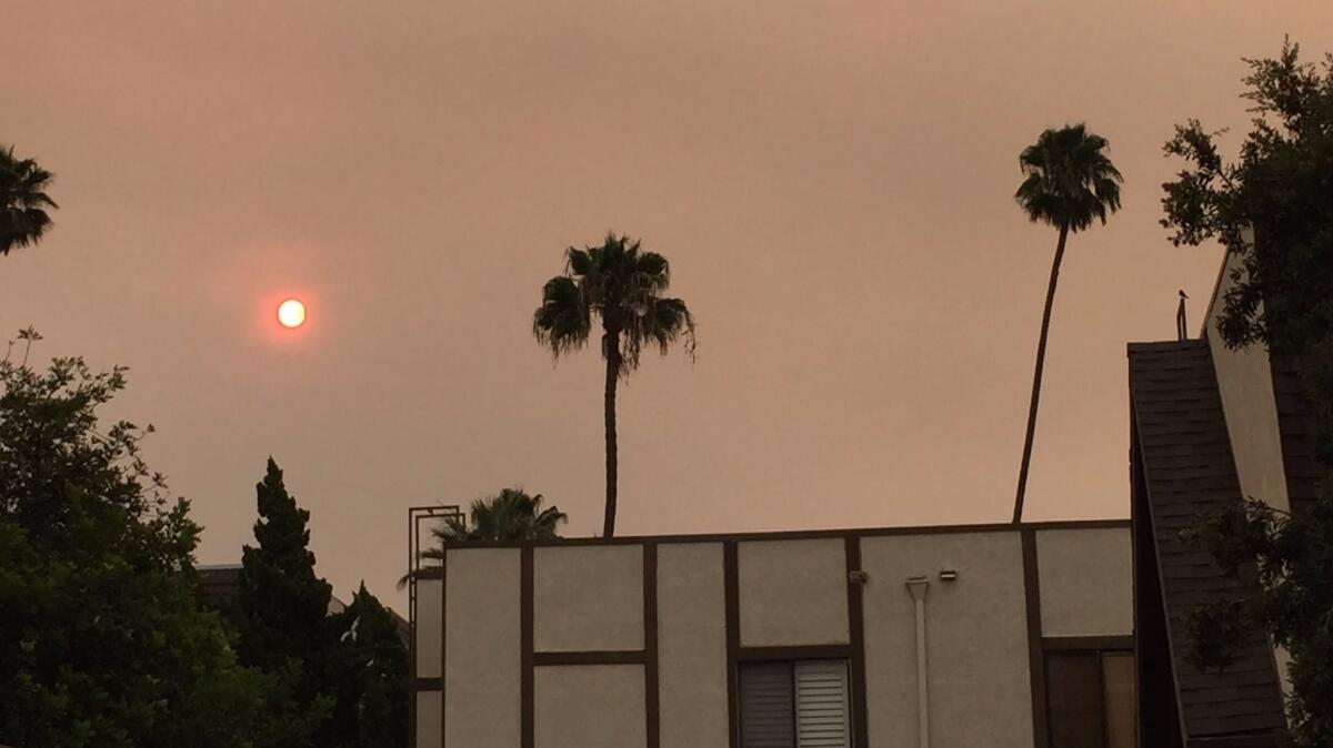 A view of the Saturday morning sun from Pasadena.