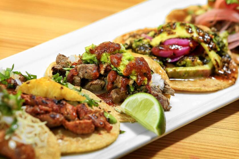 Petty Cash Taqueria offers the basics, such as al pastor or a taco with roasted crickets.