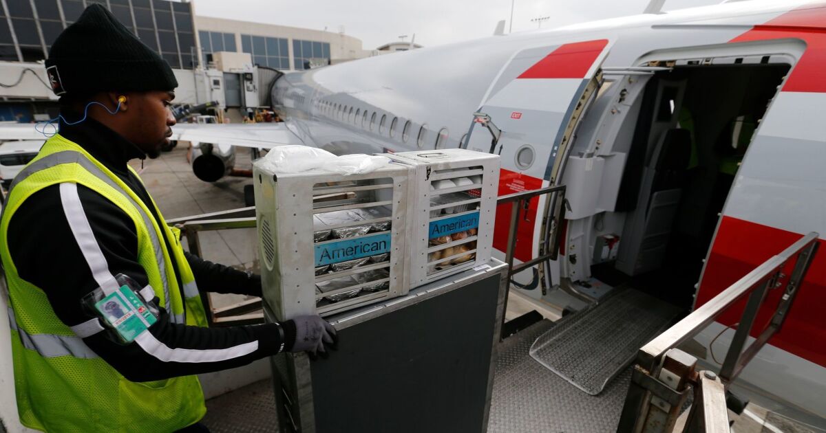 Delta And American Airlines Return To Using Catering Company At Lax After Listeria Discovery Los Angeles Times