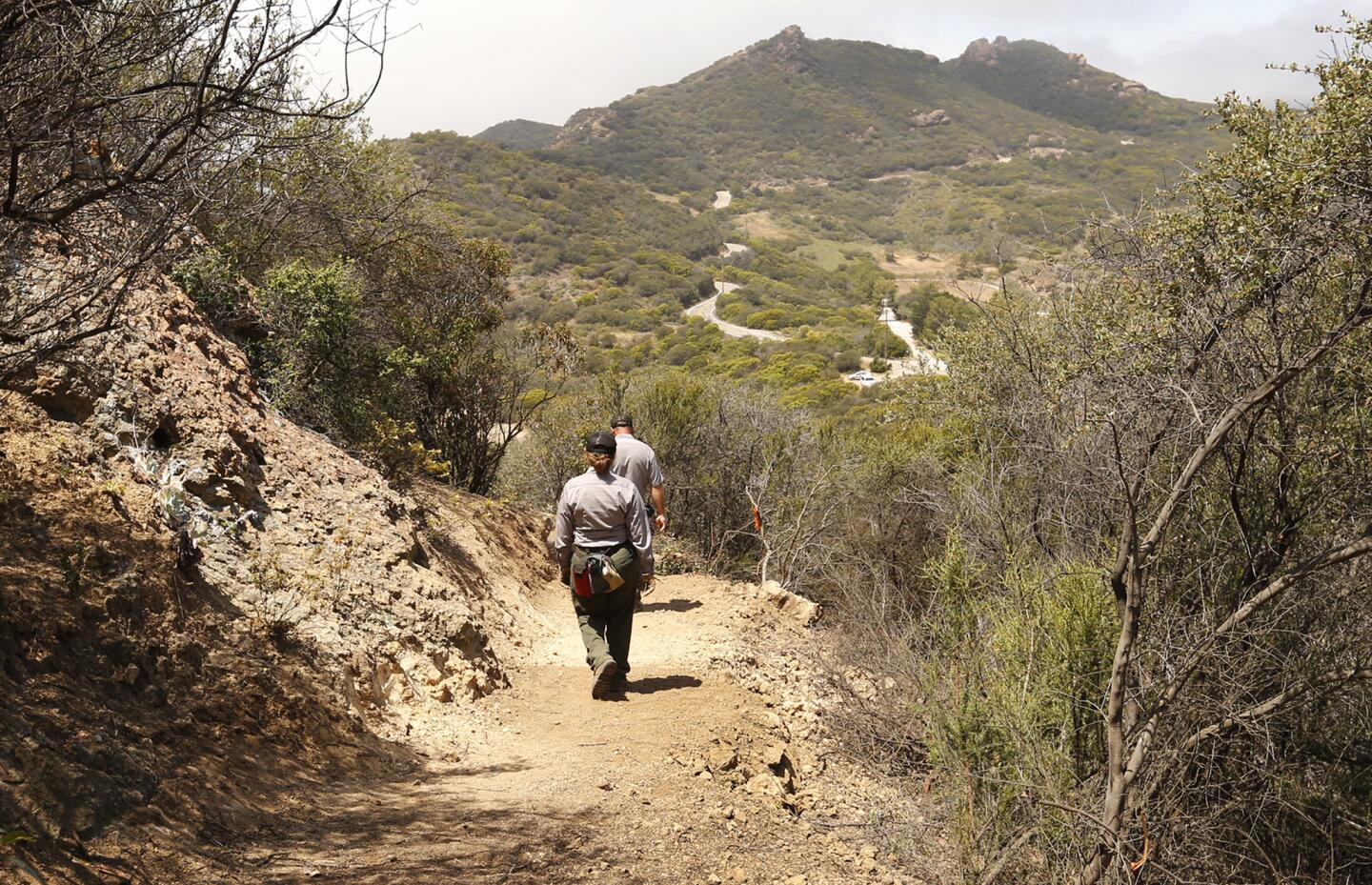 Backbone Trail in Santa Monica Mountains