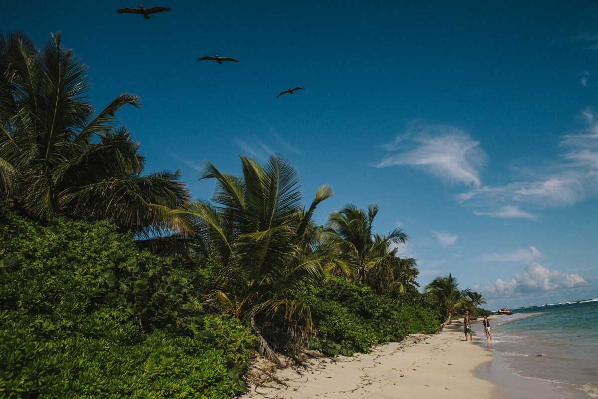 A beach on the small island of Culebra, off the east coast of Puerto Rico.