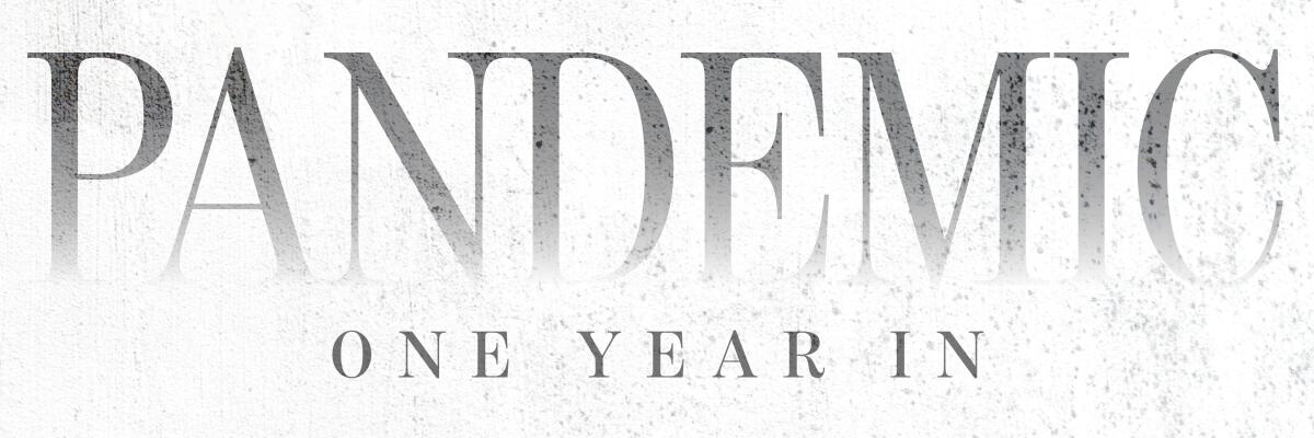 Pandemic: One year in