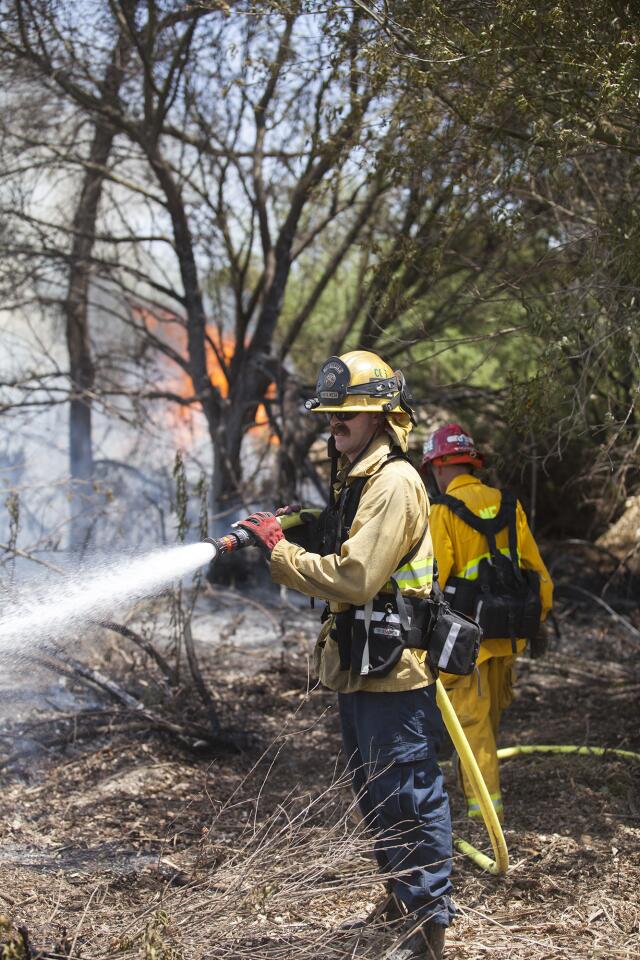 Talbert Park Fire