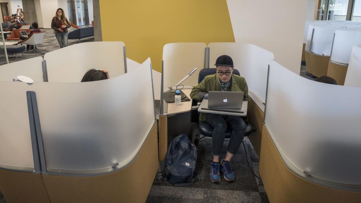 Undergrad Daotian Lin studies at Moffitt Library, where individual study carrels come with their own lights and outlets.