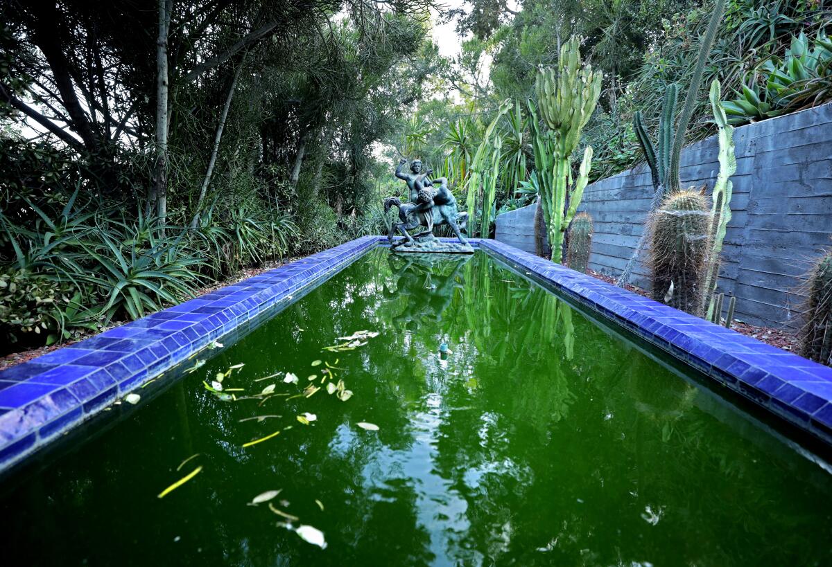 A photo of a pond in the cactus garden at the Flamingo Estate in Los Angeles. 