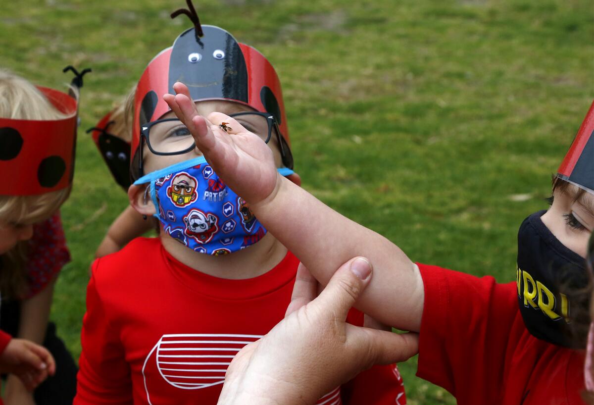 Toddlers from Lisa Hawkins' class release a ladybug back into the environment in celebration of Earth Day on Thursday.