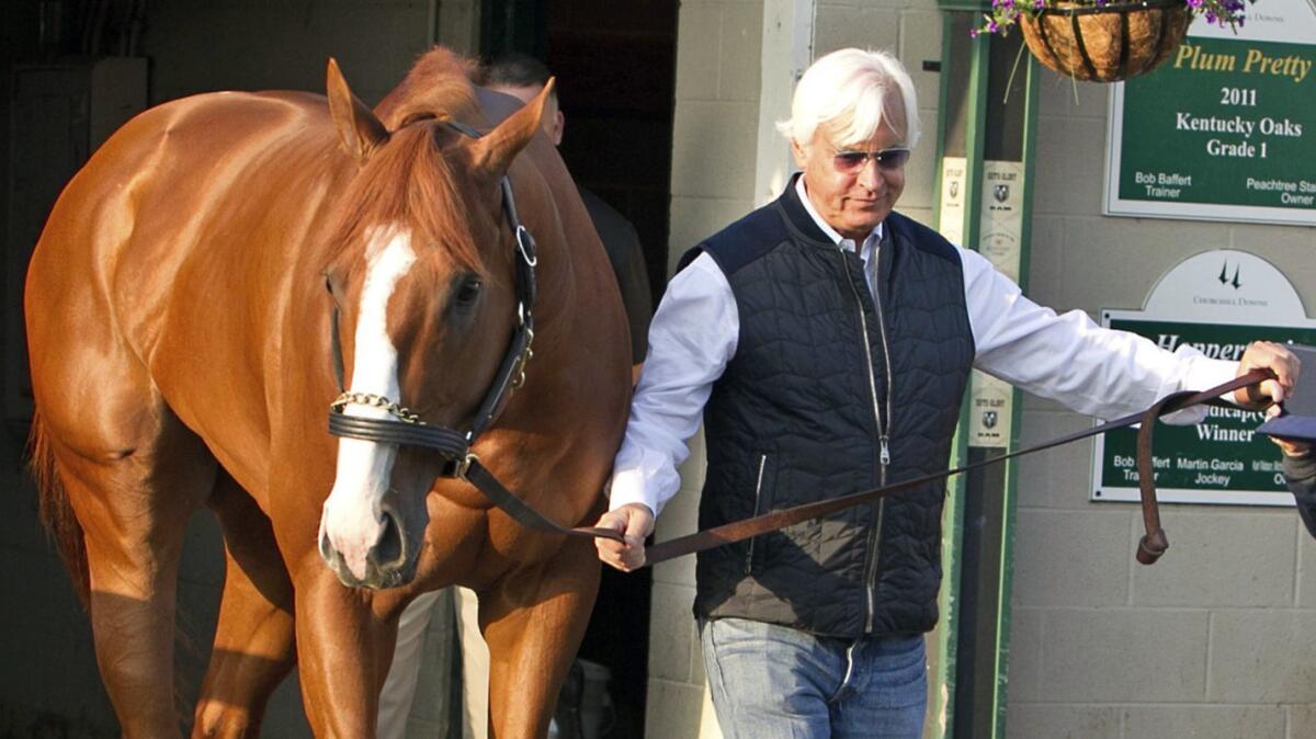 Trainer Bob Baffert leads Justify at Churchill Downs on May 6, the morning after winning the Kentucky Derby.