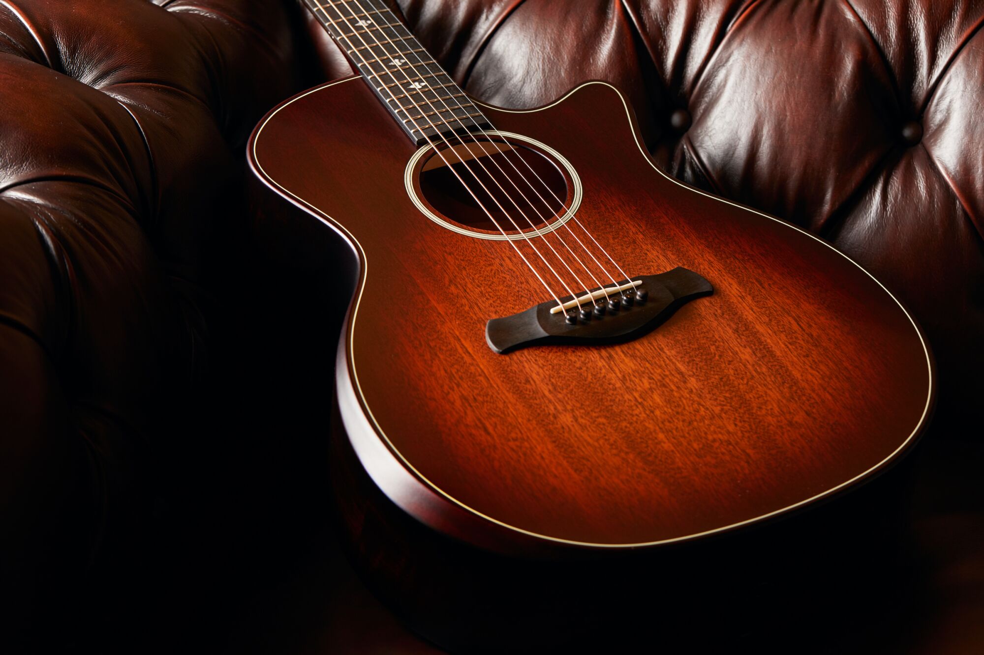 Taylor Guitars' high-end guitar made out of urban wood.